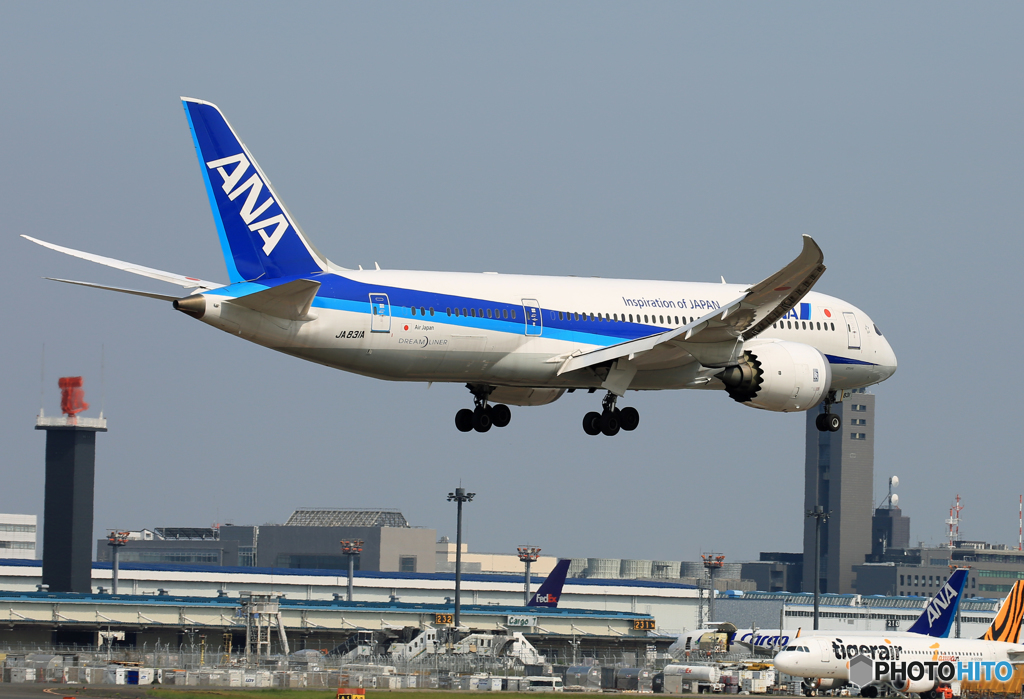 「すかい」 ANA 787-8 JA831A 着陸します