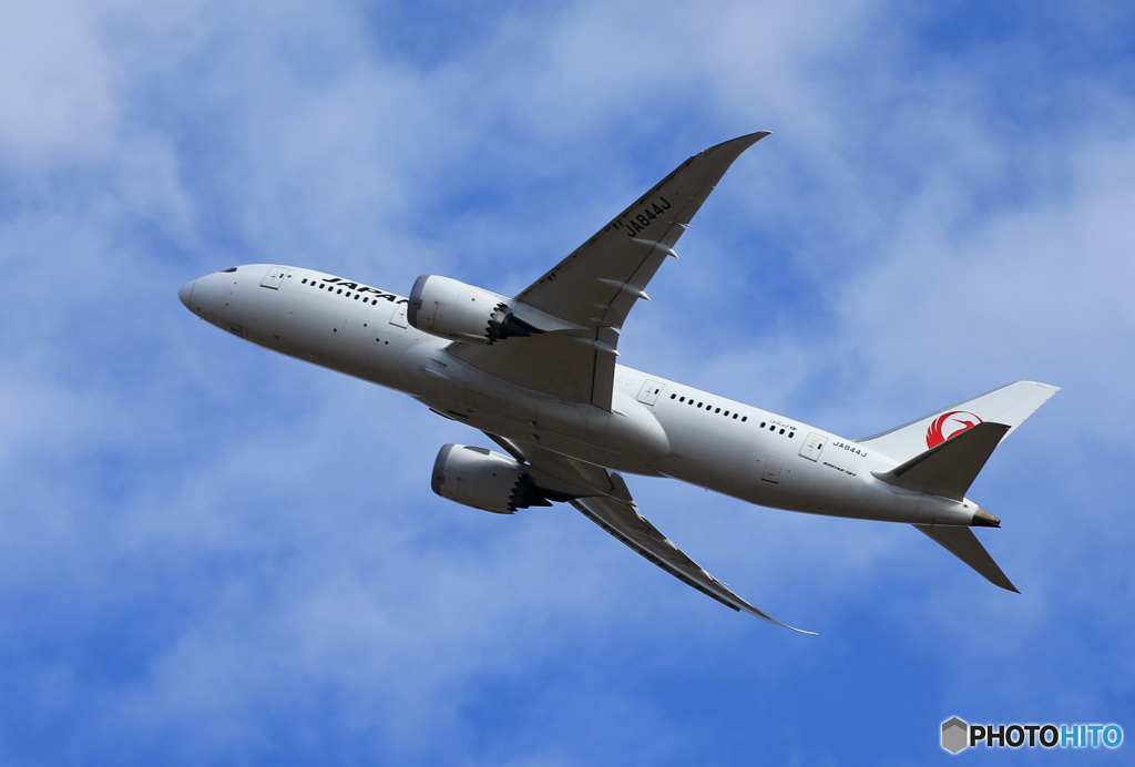 「群青色」JAL 787-8 JA837A Takeoff 