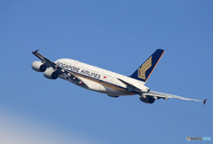 「群青」Singapore A380-841 9M-SKM Takeoff  