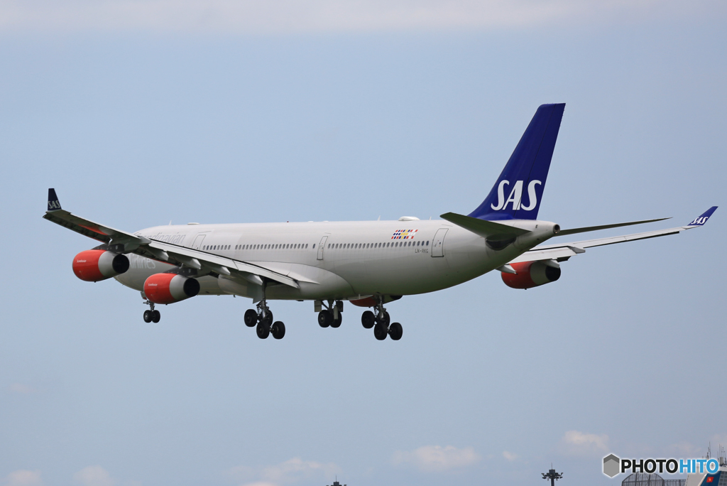 「良い天気」 SAS A340-313 LN-RKG 到着