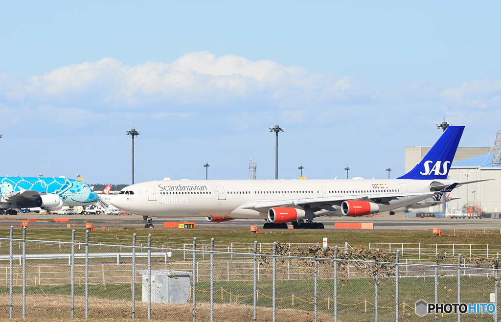 「空色」SAS A340-313 LN-RKF Takeoff 