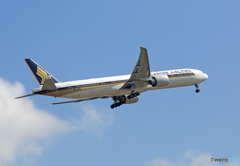 「良い天気」Singapore 777-300 9V-SWS 飛行