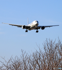 「晴れ」 American 777-200 N758AN Landing 