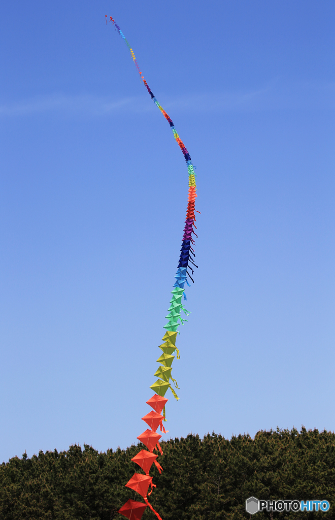 「蒼空」ダイヤ連凧・綺麗だねぇ~~~