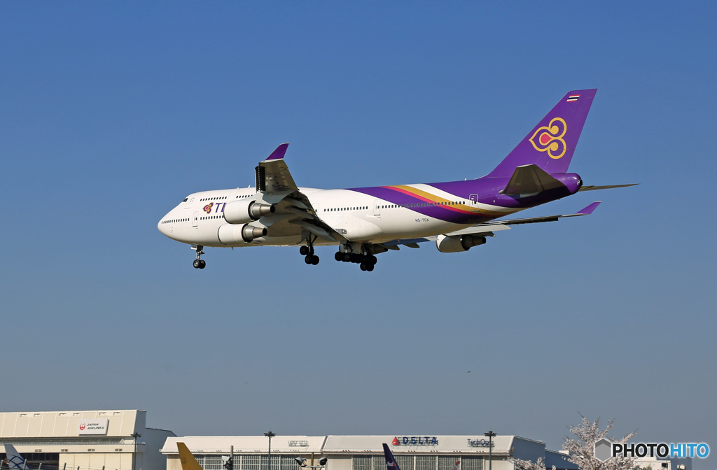 [青い空]　THAI 747-400 HS-TGX Landing