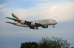 「青い空」が一番エミレーツ航空A380-861 A6-EUH着陸