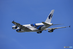 「良い空～」マレーシア航空 A380-841 9V-SKI 離陸