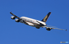 ☀「青い空」が一番 Singapore A380-841Takeoff