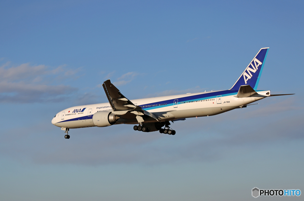 「青色」 ANA 777-300 JA781A Landing