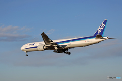 「青色」 ANA 777-300 JA781A Landing