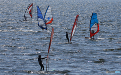「SKY」東京湾のウインドサーフィン（23）
