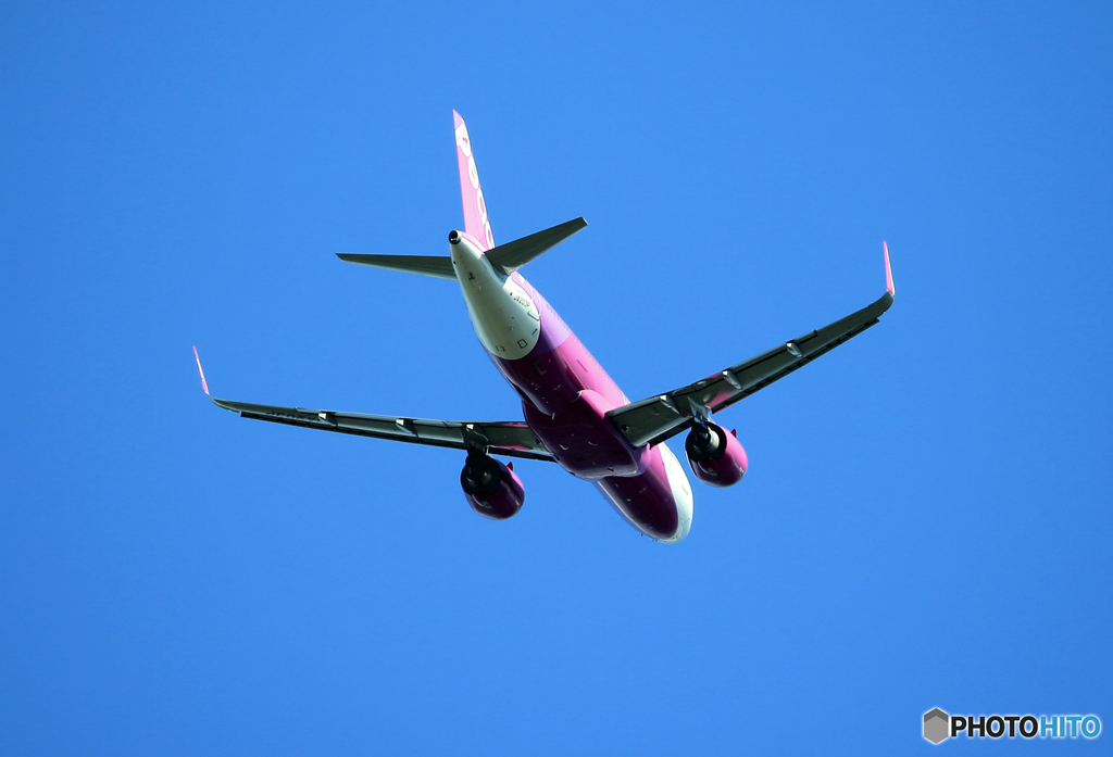 「すかい」 Peach A320-214 JA203P  Takeoff  