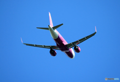 「すかい」 Peach A320-214 JA203P  Takeoff  