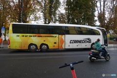 休憩タイム(738)旅の移動は...BUSが便利ですね？