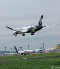 「雲」 air NZ' 787-9 ZK-NZH Landing