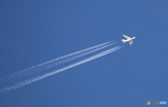「空色」✈10,000ｍの飛行機雲・エアバス✈A380