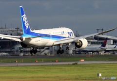 「青が大好き」 ANA 787-8 JA806A 到着