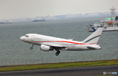 ☮ルクセンブルク・グローバル A318-112 LX-LTI☮