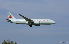[青い空] AIR CANADA 787-8 C-GHPT  Landing
