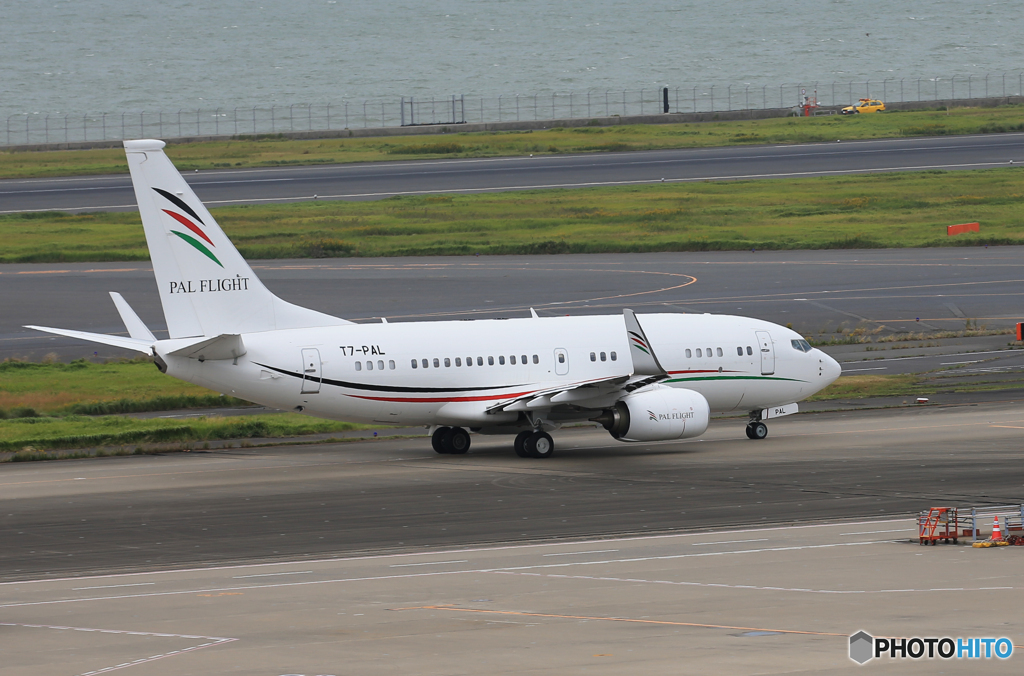 「青が好き」☮　アラブウイングス☮ 珍しい飛行機ですね✈