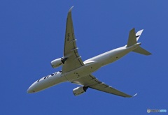 「空色」 Finnair A350-941 OH-LWA 飛ぶ