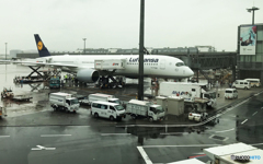 「雨」今乗って来た  飛行機を撮る