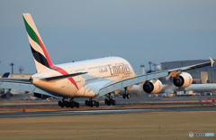 「あおいそら」 エミレーツ A380-861 着陸します