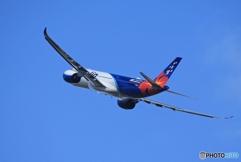 「群青色」Air Calin A330-941 F-ONEO 飛行