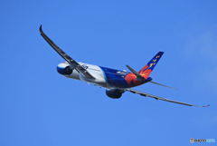 「群青色」Air Calin A330-941 F-ONEO 飛行