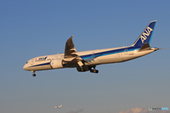 「青が大好き」 ANA 787-9 JA839A 到着