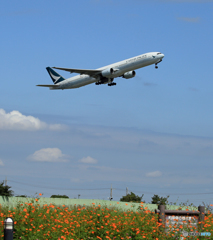 「すかい」 CATHAY 777-367 B-HMK Takeoff 