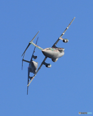 ☮休憩ﾀｲﾑ(752)   C-１  戦闘機並みの演技ですよ！！