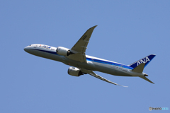 「はれー」ANA 787-8 JA836A Takeoff 
