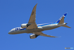 「スカイ」 ANA 787-8 JA806A 離陸します