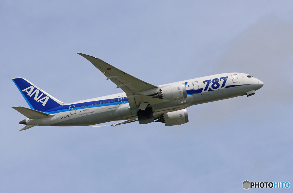 「スカイ」 ANA 787-8 JA823A 飛び立ちです 