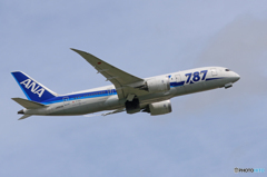「スカイ」 ANA 787-8 JA823A 飛び立ちです 