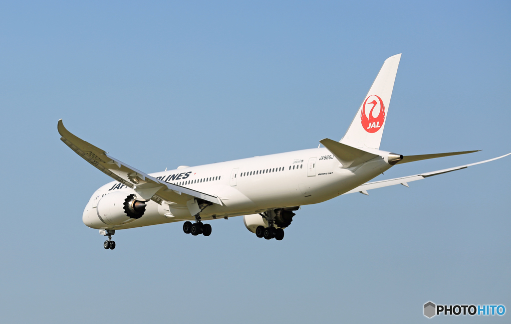 「すかい」 JAL 787-9 JA866J Landing