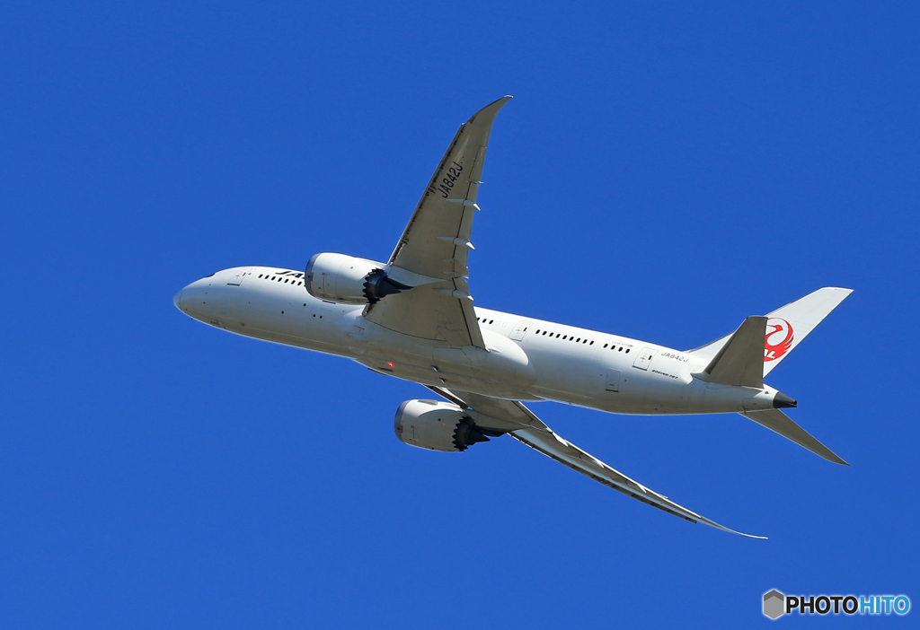 「スカイ」JAL 787-8 JA842J  Takeoff 