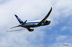 「スカイ」 ANA 787-8 JA822A 出発です