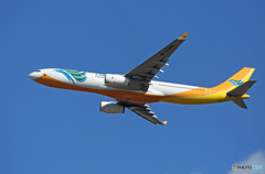 「ぶるー」 CEBU A330-343 RP-C3346 出発