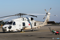 「あおいそら」SH-60K  JMSDF