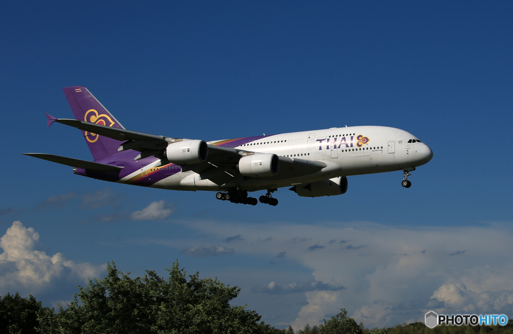 「群青」THAI A380-841 HS-TUB 着陸