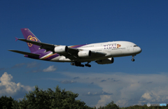 「群青」THAI A380-841 HS-TUB 着陸