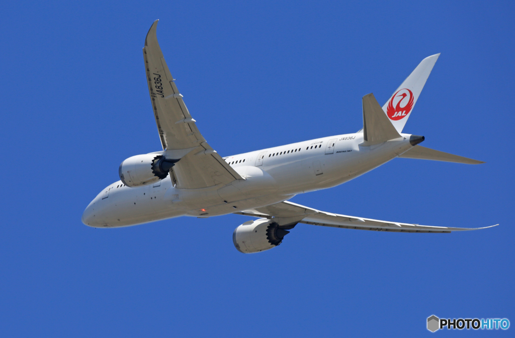 「SKY」 JAL 787-8 JA836J 離陸です