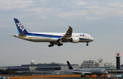  「晴れ」  ANA 787-9 JA896A 空港・風景　