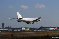 「スカイ」アトラスホワイト747-4KZF N508KZ 着陸