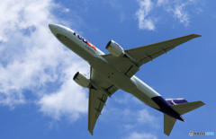 「真青の空」 FedEx 777-FS2 飛行