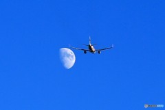 ☀「青い空」が一番 Jetstar A320 月へ飛ぶ