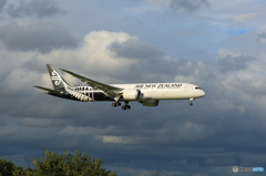 「ぶるー」 AIR NZ' 787-9 ZK-NZC 着地前