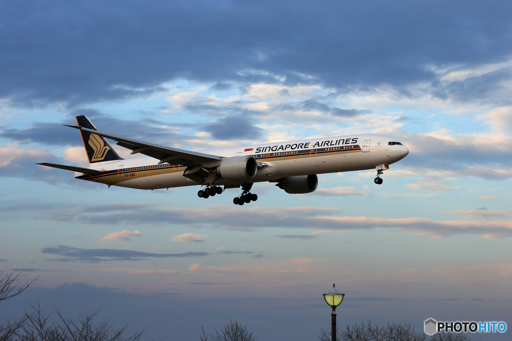 「真青の空」 Singapore 787-10 9V-SWE  Landing 
